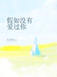 如果我没爱过你小说