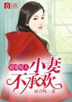 小说错妻