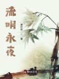 《永夜流光》