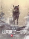 位面战争