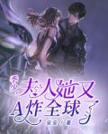季少,夫人她又a炸全球了安安
