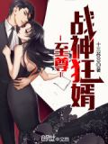 至尊战神狂婿213章