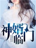神婿临门傻婿临门短视频免费播放