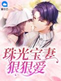我的珠光宝妻小说