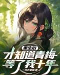 重生后才知道青梅等了我十年