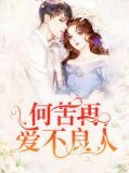 何苦再爱不良人