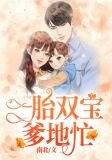 一胎双宝爹地忙