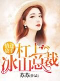 杠上冰山总裁：情逢敌手