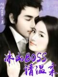 冰山BOSS请温柔