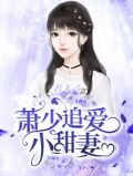 萧少追爱小甜妻萧子赫