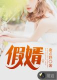假婿