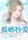 暖婚冷爱