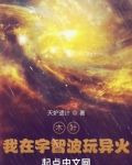 木叶：我在宇智波玩异火